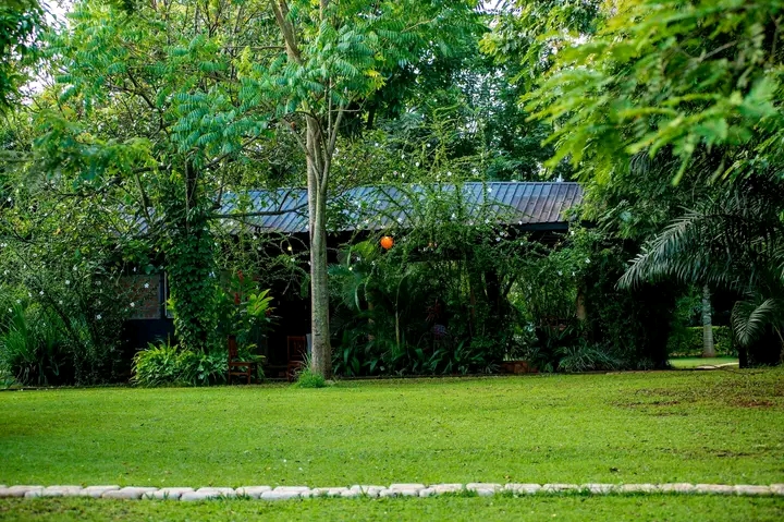 Uganda Safari Experience