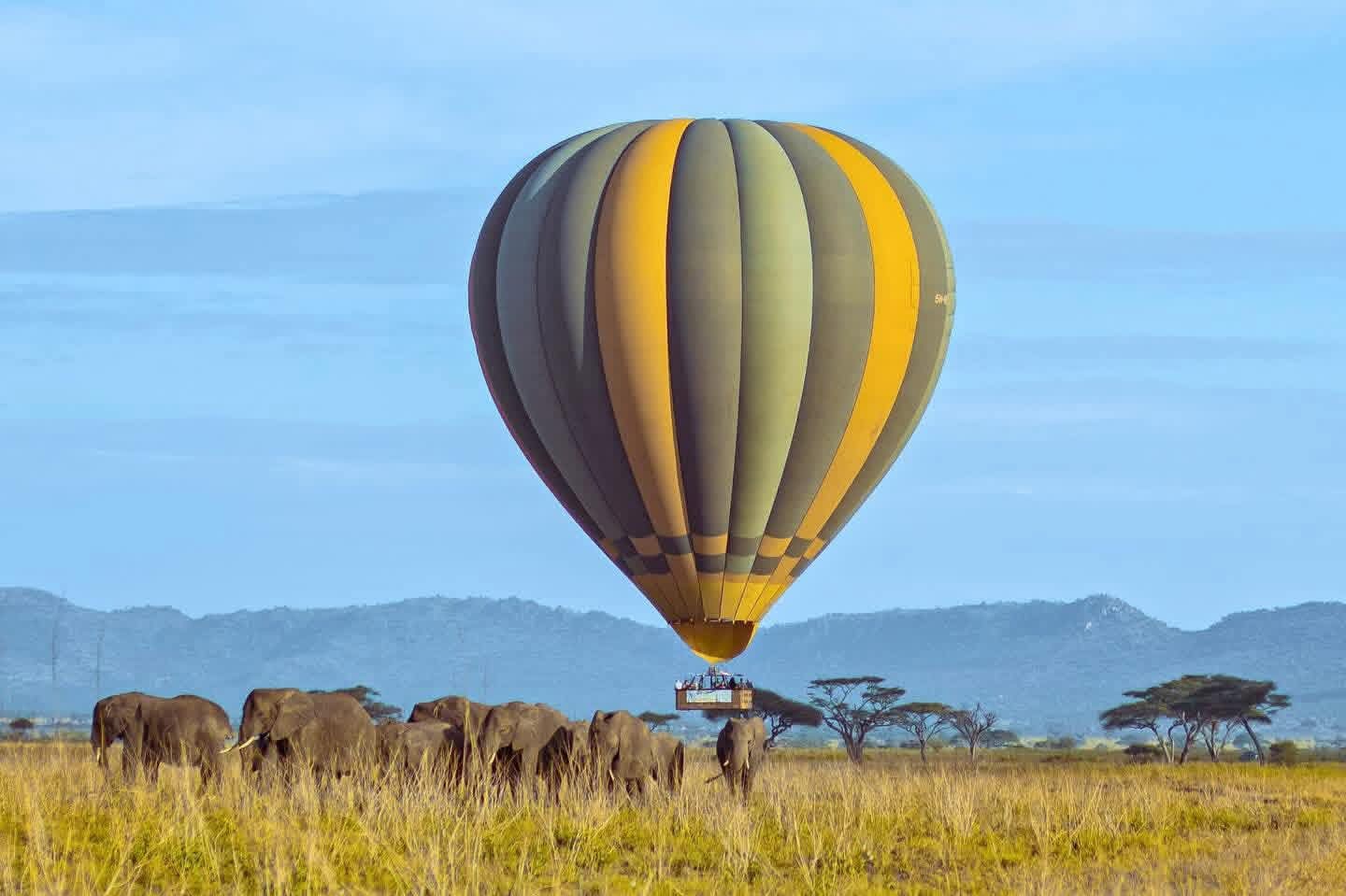 Adventure Activities