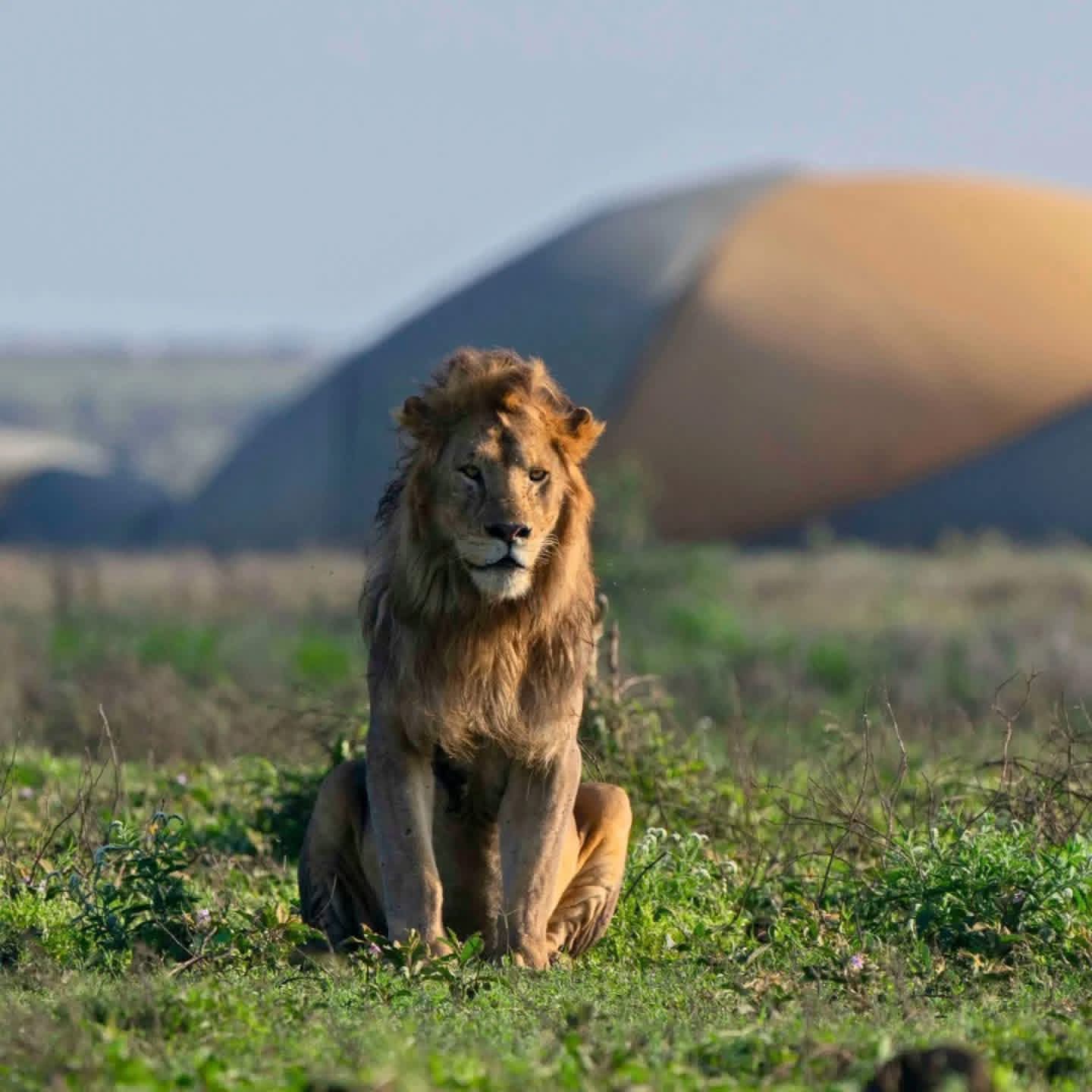 Wildlife Photography