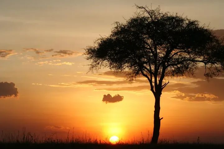 Adventure Activities